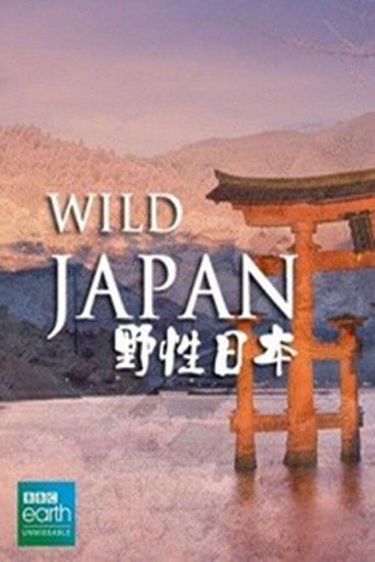 狂野日本海报