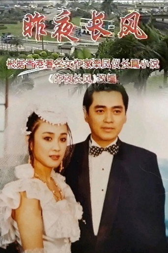 昨夜长风海报