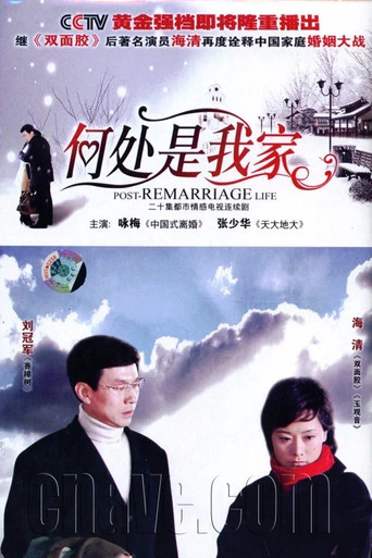 何处是我家海报