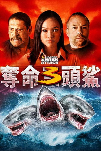 夺命三头鲨海报
