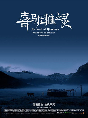 喜马拉雅之灵海报