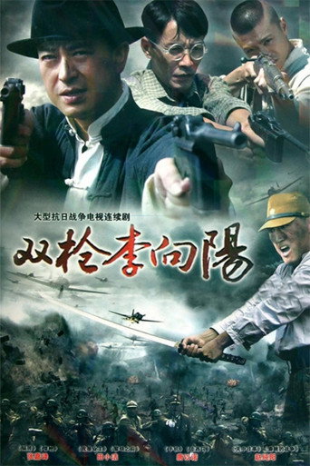 双枪李向阳海报