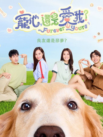 宠他，还是爱我？海报