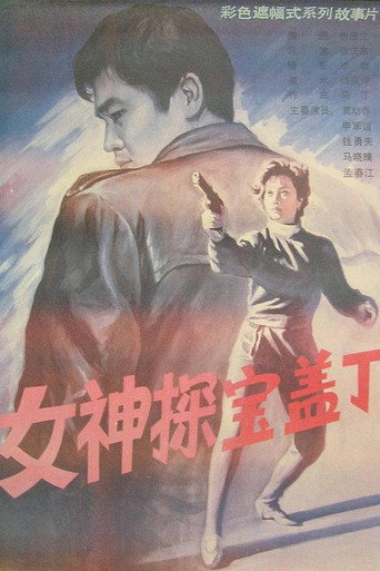 女神探宝盖丁海报