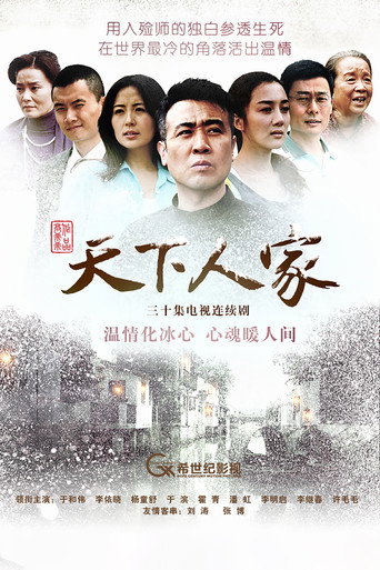 天下人家海报