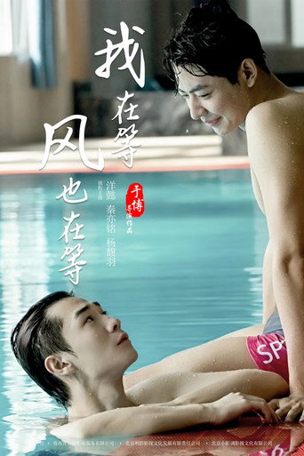 我在等,风也在等海报