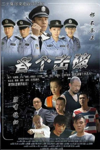 各个击破海报