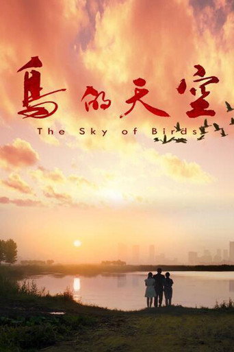 鸟的天空海报