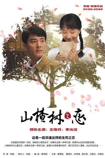 山楂树之恋海报