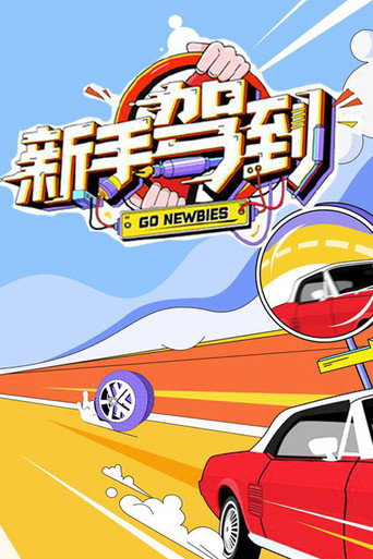 新手驾到海报