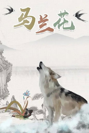 马兰花海报