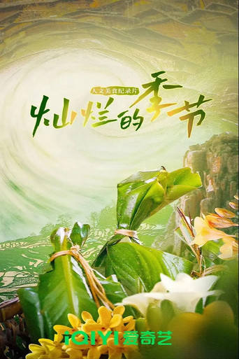 灿烂的季节海报