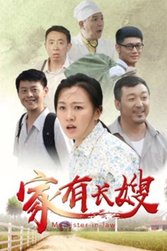 家有长嫂海报