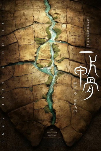 一片甲骨海报
