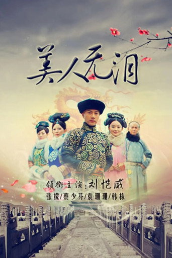 美人无泪海报