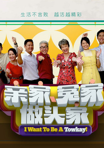 亲家冤家做头家海报