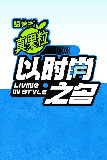 以时尚之名海报