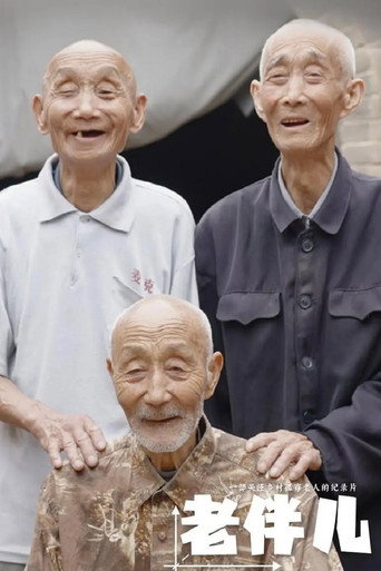 老伴儿海报
