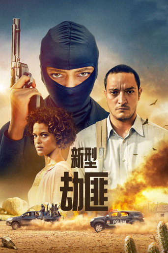 新型劫匪海报