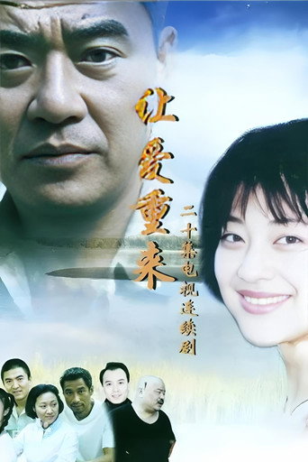 让爱重来海报