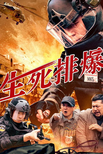 生死排爆海报