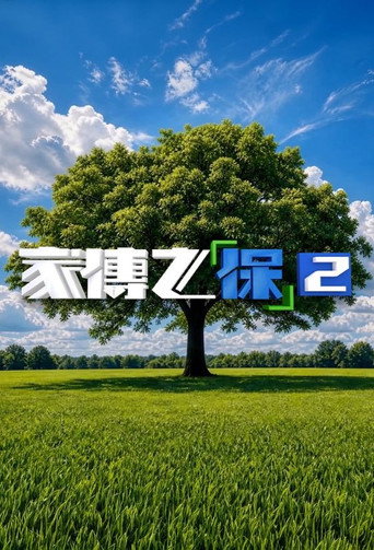 家传之「保」海报