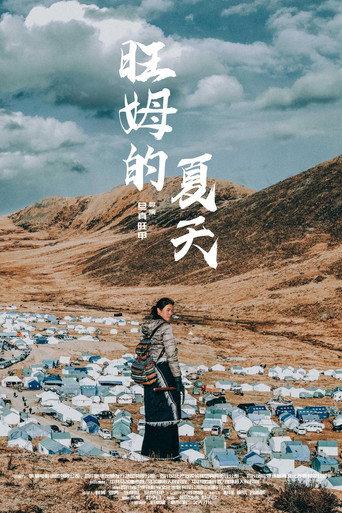 旺姆的夏天海报