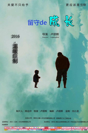 留守的成长海报