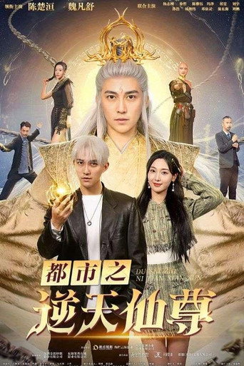 都市之逆天仙尊海报