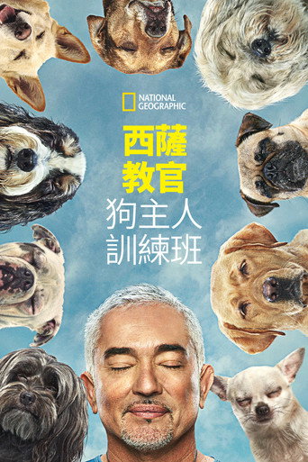 金牌训狗师:狗主人训练班海报