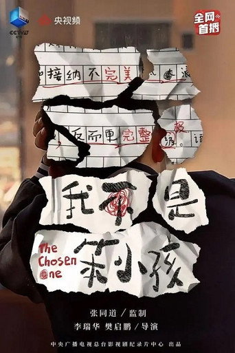 我不是笨小孩海报