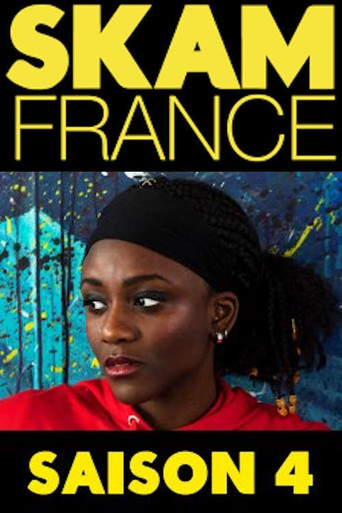 羞耻(法国版) 第 4 季海报