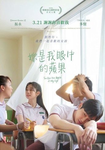 那些年,我们一起追的女孩海报