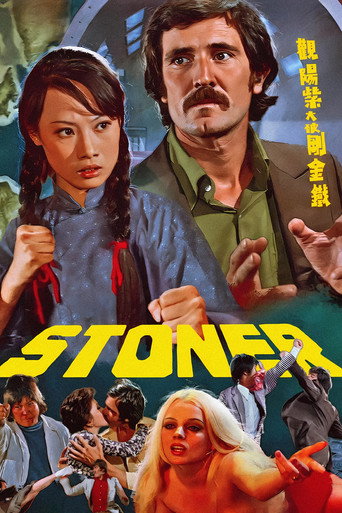 铁金刚大破紫阳观海报
