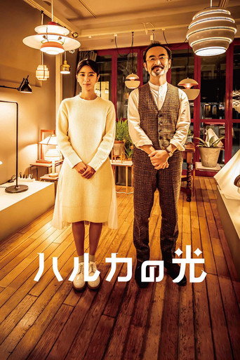 遥之光海报