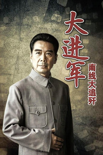 大进军2:南线大追歼海报