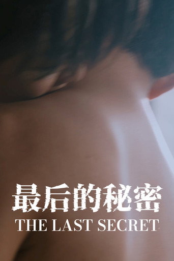 最后的秘密海报