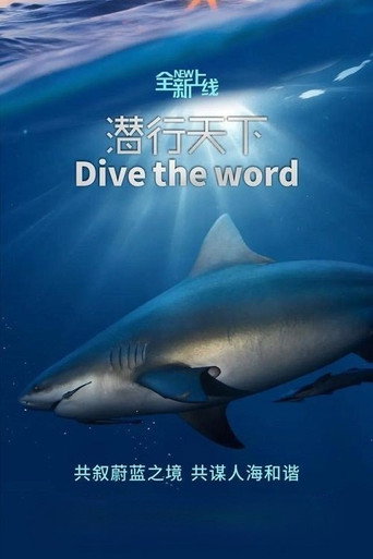 潜行天下海报