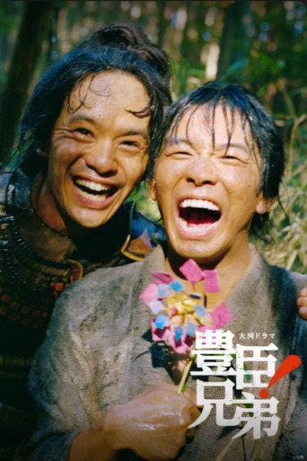 丰臣兄弟!海报