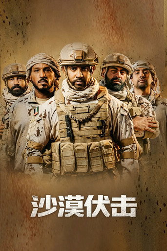 沙漠伏击海报