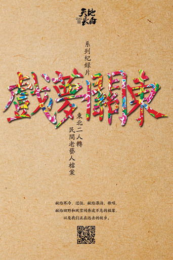戏梦关东海报