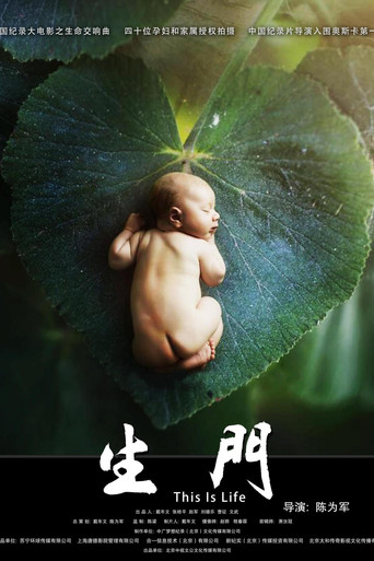 生门海报