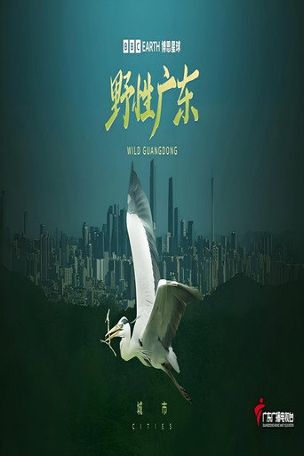 野性广东海报