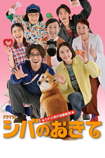 柴犬的规矩~我们这群狗痴编辑部~海报