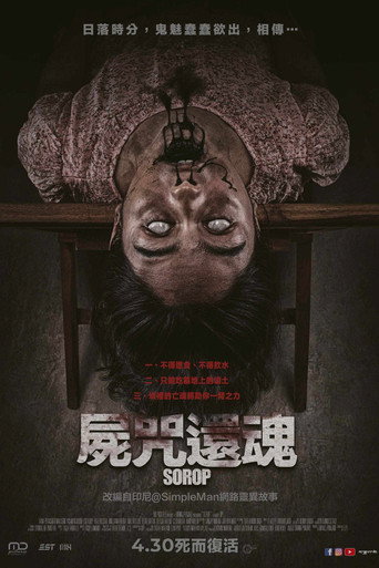 摄魂老宅海报