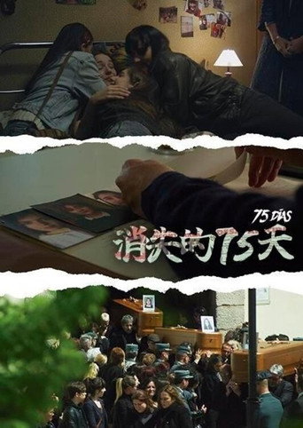 消失的75天海报