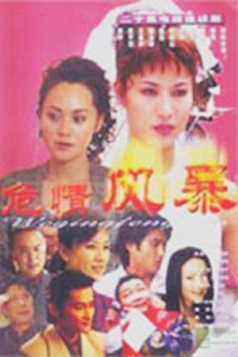 危情风暴海报