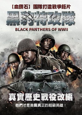 二战黑豹海报