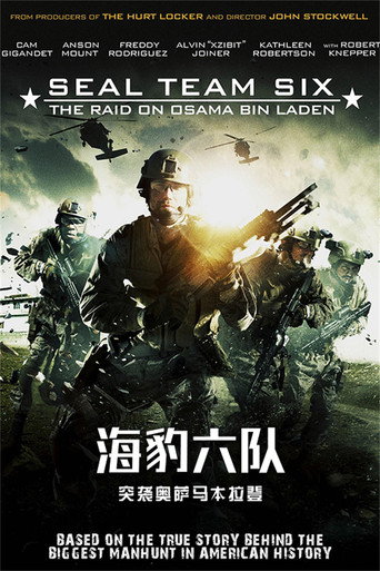 海豹六队:突袭奥萨马本拉登海报