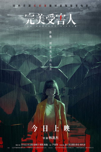 完美受害人海报